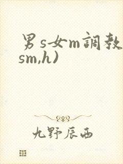 男s女m调教(sm,h)