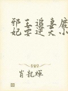 邪王追妻废材狂妃要逆天小说