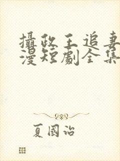 摄政王追妻路漫漫短剧全集