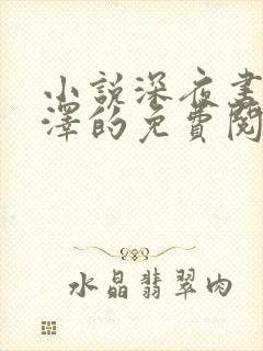 小说深夜书屋周泽的免费阅读