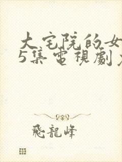 大宅院的女人45集电视剧免费观看