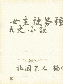 女主被各种调教h文小说