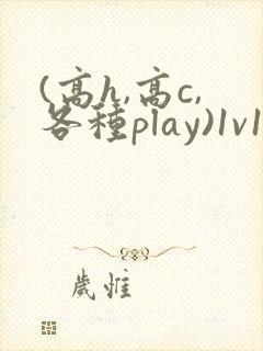 (高h,高c,各种play)1v1