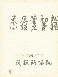 叶辰萧初然有声小说免费听封面