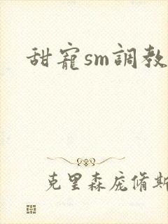 甜宠sm调教封面