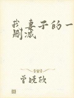 我妻子的一切无删减封面