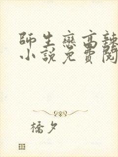 师生恋高辣h文小说免费阅读封面