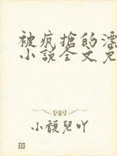 被疯抢的漂亮攻小说全文免费阅读无弹窗