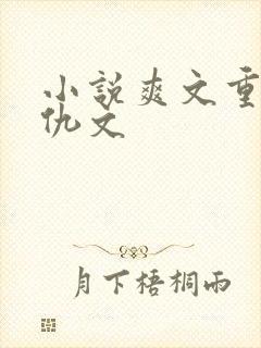 小说爽文重生复仇文