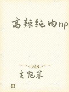 高辣纯肉np封面