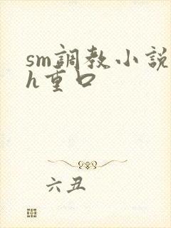 sm调教小说高h重口