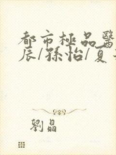 都市极品医神叶辰/孙怡/夏若雪