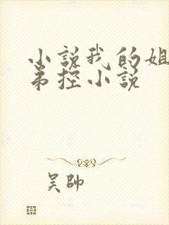 小说我的姐姐很弟控小说