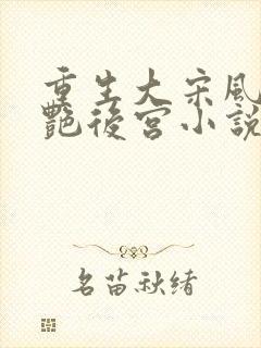 重生大宋风流猎艳后宫小说