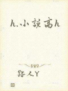 h.小说高h