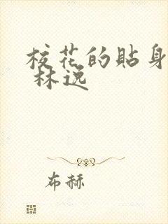 校花的贴身高手 林逸封面