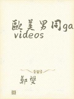 欧美男同gay videos