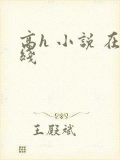高h 小说 在线