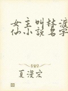 女主叫林渡的修仙小说名字