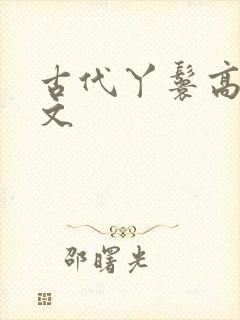 古代丫鬟高辣h文