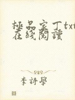 极品家丁txt在线阅读封面