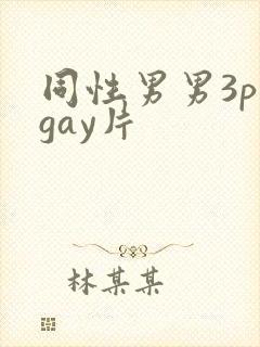同性男男3p黄gay片封面