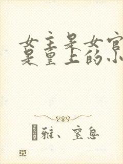 女主是女官男主是皇上的小说