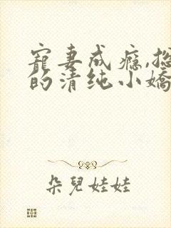 宠妻成瘾,总裁的清纯小娇妻