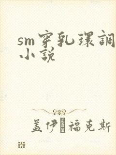 sm穿乳环调教小说