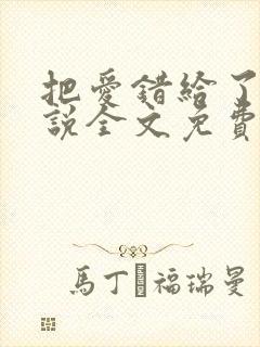 把爱错给了你小说全文免费阅读