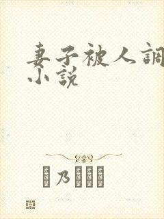 妻子被人调教类小说