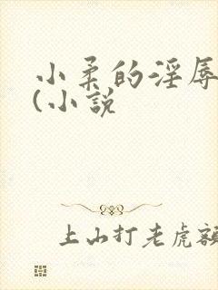 小柔的淫辱日记(小说封面