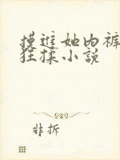 摸进她内裤里疯狂揉小说