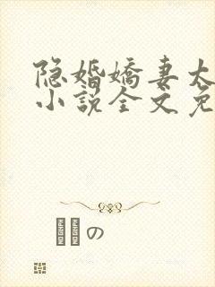 隐婚娇妻太迷人小说全文免费阅读封面