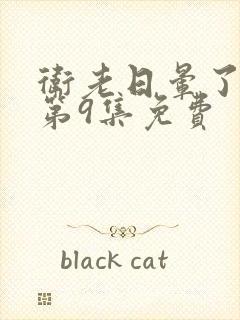 卫老日晕了淑蓉第9集免费