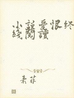 小说爱恨终散在线阅读封面