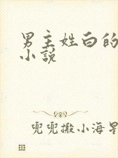 男主姓白的总裁小说