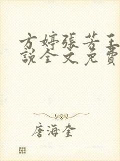 方婷张芳王磊小说全文免费阅读最新