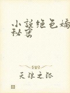 小说绝色娇妻的秘密
