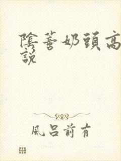 阴蒂奶头高潮小说封面