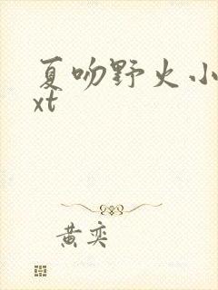 夏吻野火小说txt