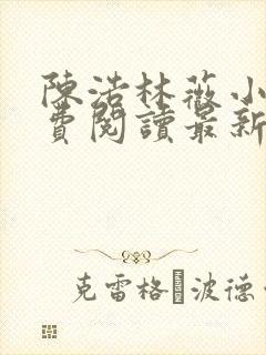 陈浩林薇小说免费阅读最新章节更新