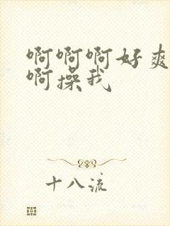 啊啊啊好爽啊啊啊操我封面