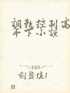 调教控制高潮h年下小说