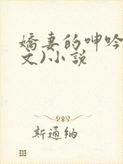 娇妻的呻吟(辣文)小说