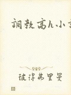 调教高h小说