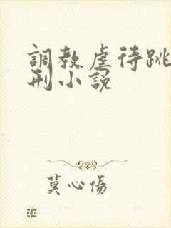 调教虐待跳蛋酷刑小说封面