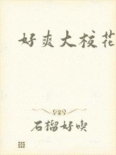 好爽大校花h文