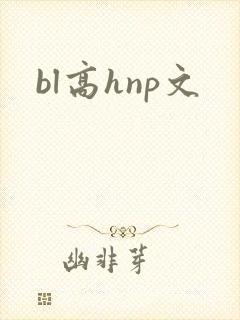 bl高hnp文封面