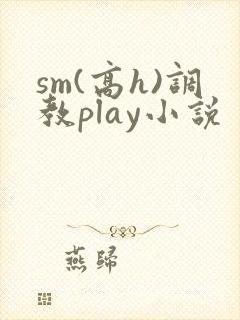 sm(高h)调教play小说